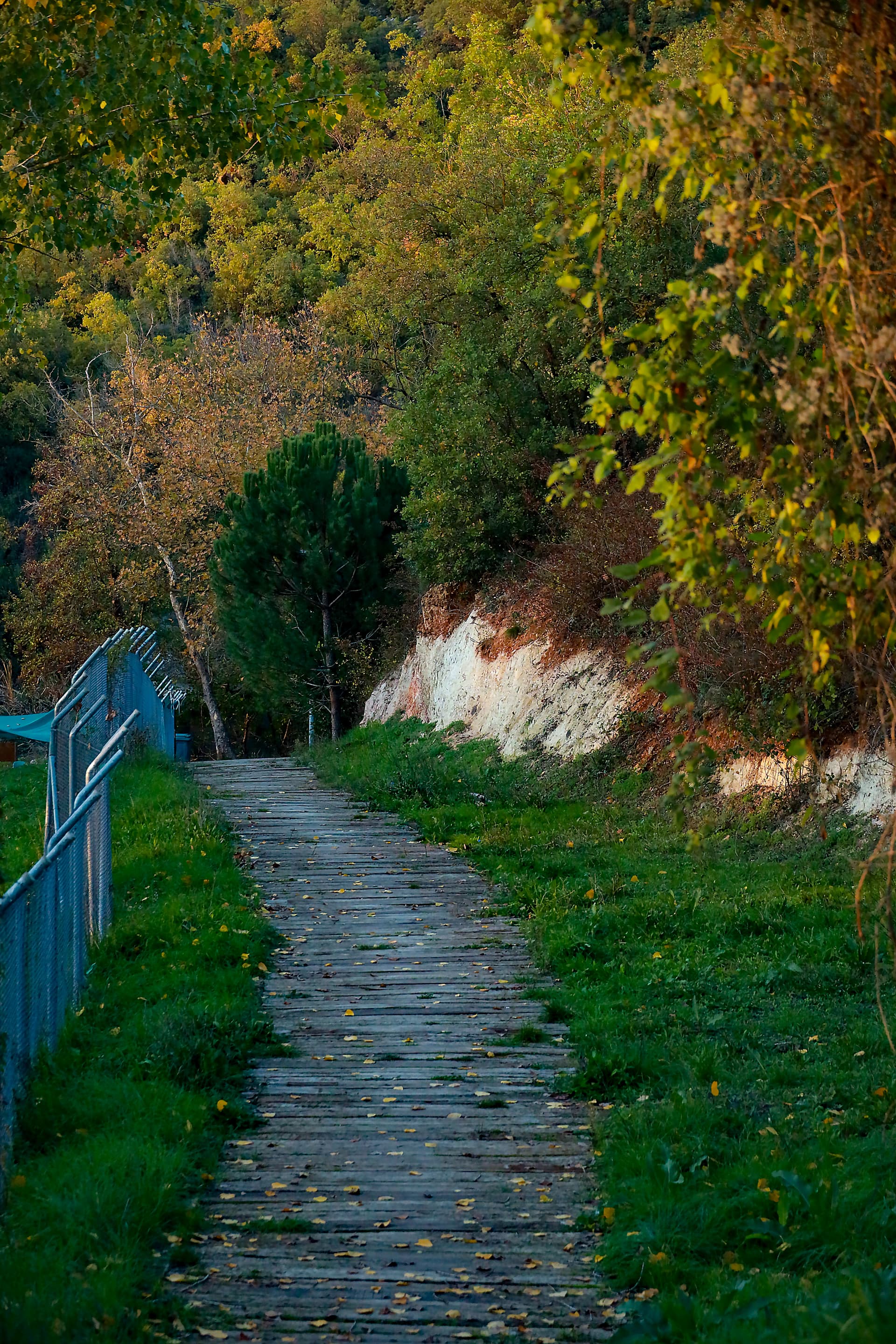 6. Uluslararası Gebze Ultra Trail