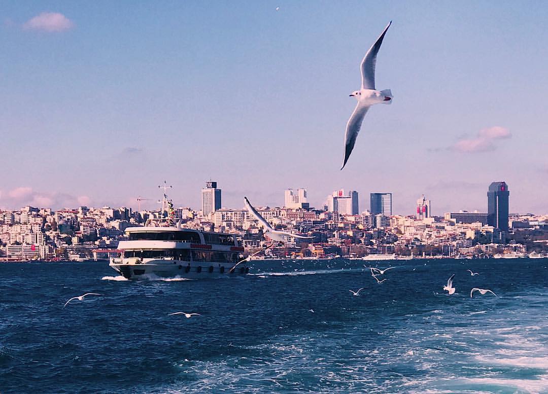 Uluslararası Boğaziçi Triatlonu 2